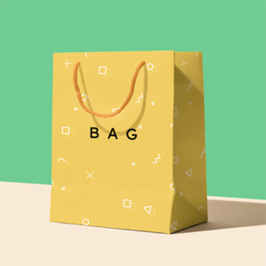 Paper Bag
